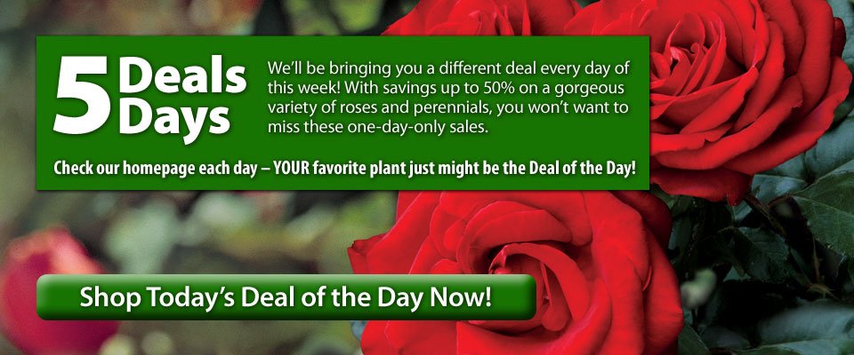 5 Deals, 5 Days