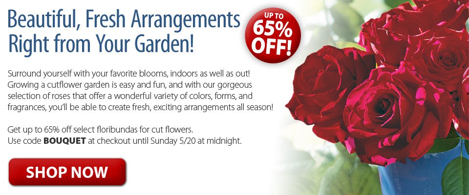 Beautiful, Fresh Arrangements Right from Your Garden! Beautiful, Fresh Arrangements Right from Your Garden!