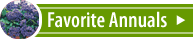 Favorite Annual Plants