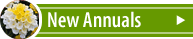 New Annual Plants
