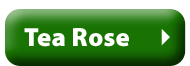 Tea Rose Scented