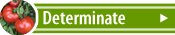 Determinate Tomatoes