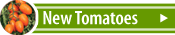 New Tomatoes