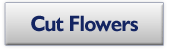 Cut Flowers