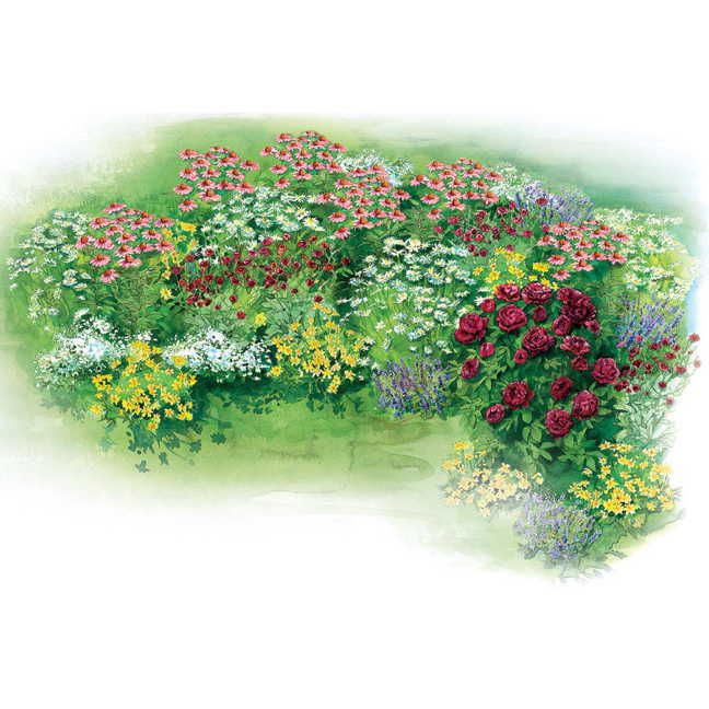 40-Foot Perennial Sun Garden