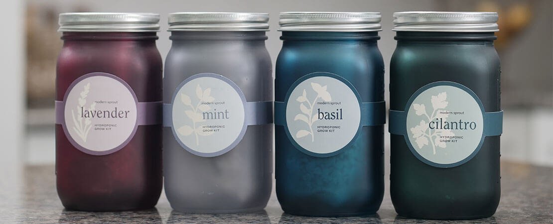 Main image for the article:10 Gardening Gifts for Small Spaces