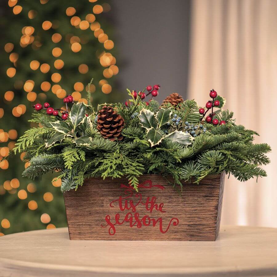 Shop Fresh Evergreens