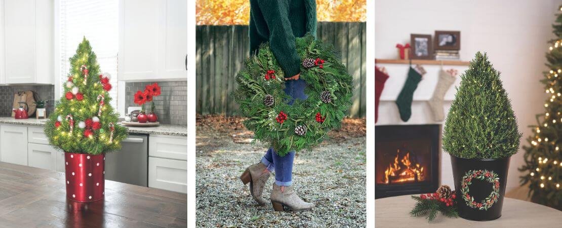 Main image for the article:Best Christmas Gifts for 2024: Why They Are Trending