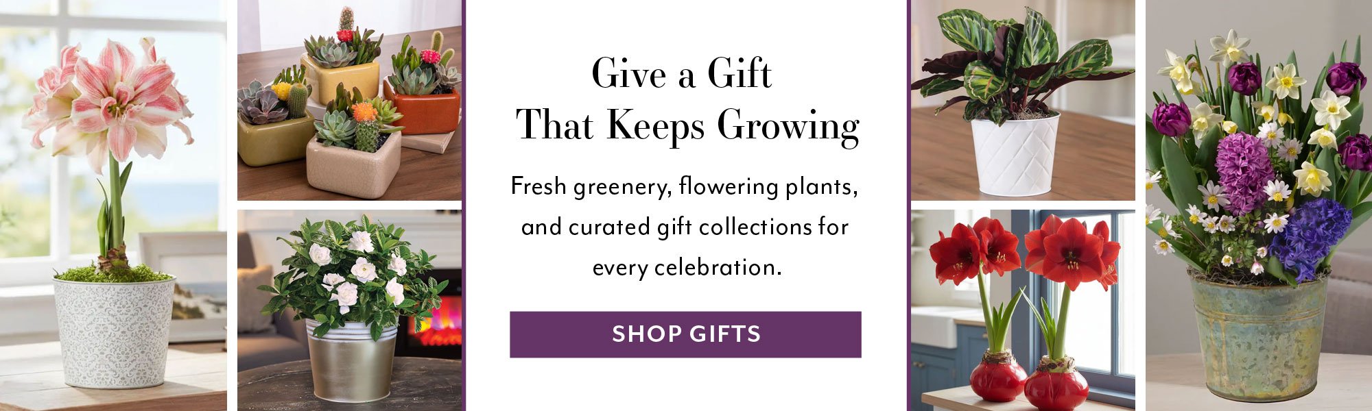 Give a Gift That Keeps Growing