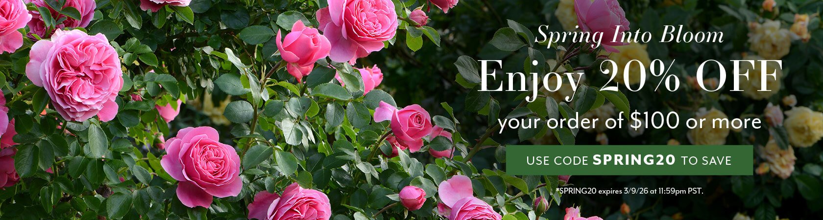 Spring Into Bloom: 20% off orders of $100+ with code SPRING20