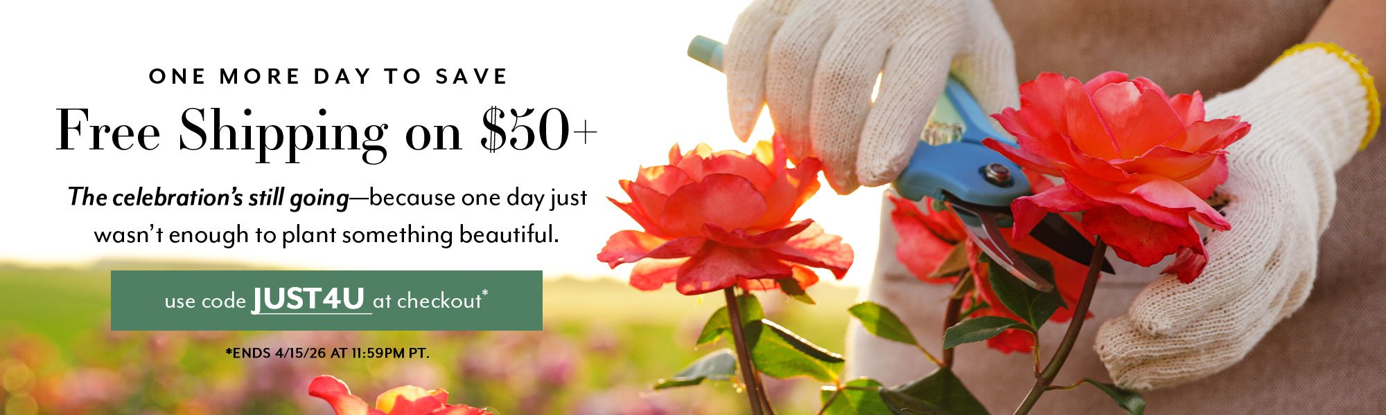 Extended! Free Shipping on $50+ with code JUST4U