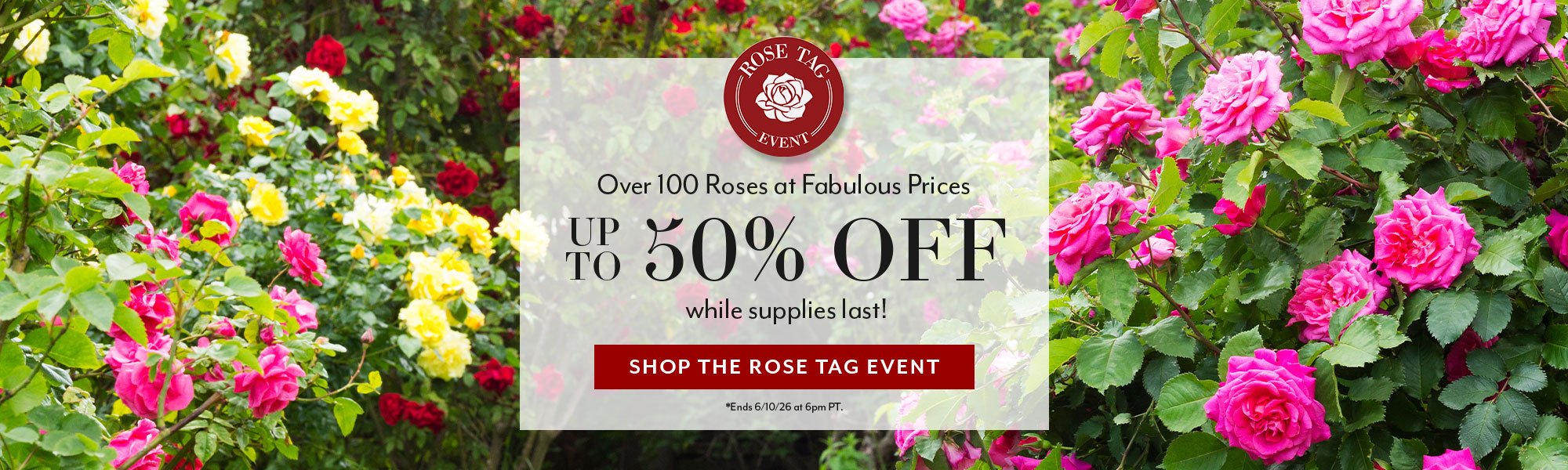 Rose Tag Sale - up to 50% OFF Over 100 Roses at Fabulous Prices, While Supplies Last! No Code Needed!