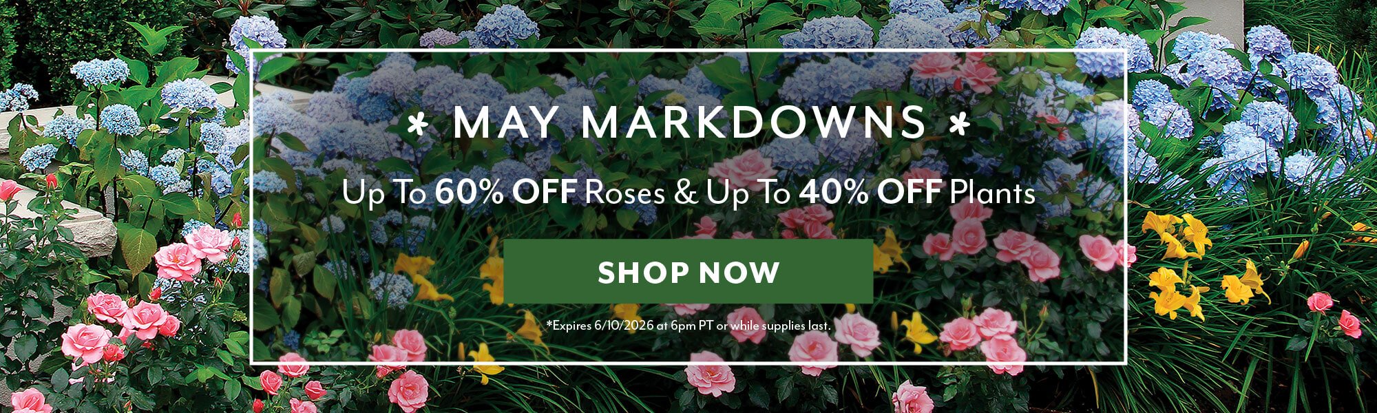 May Markdowns: Up to 60% OFF Roses and up to 40% OFF Plants