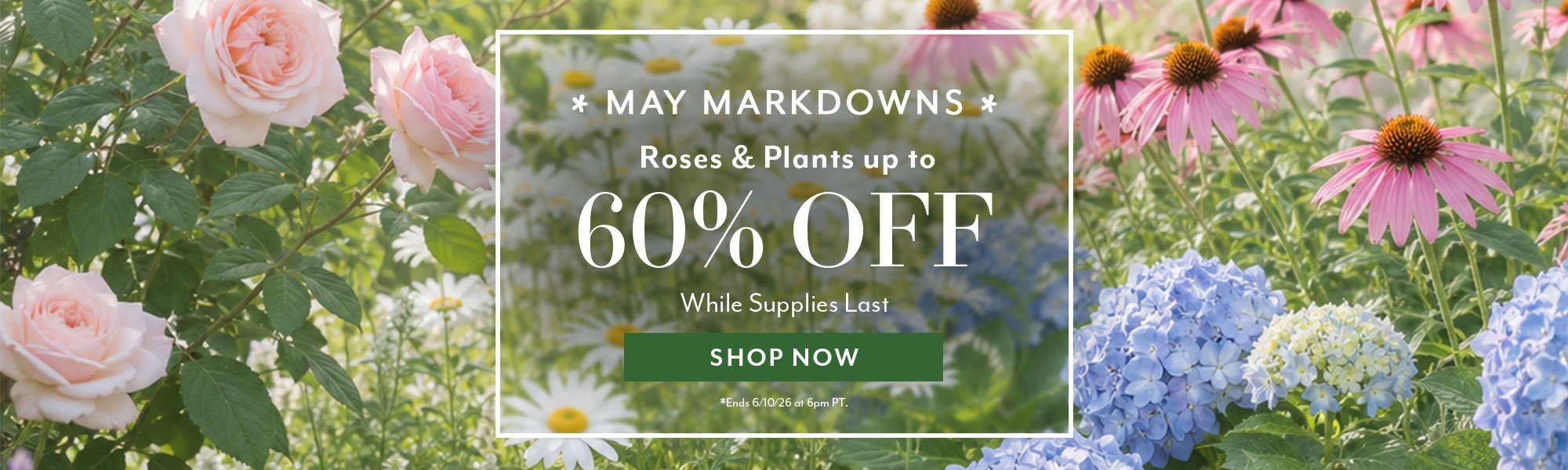 May Markdowns: Roses & Plants Up to 60% OFF while supplies last