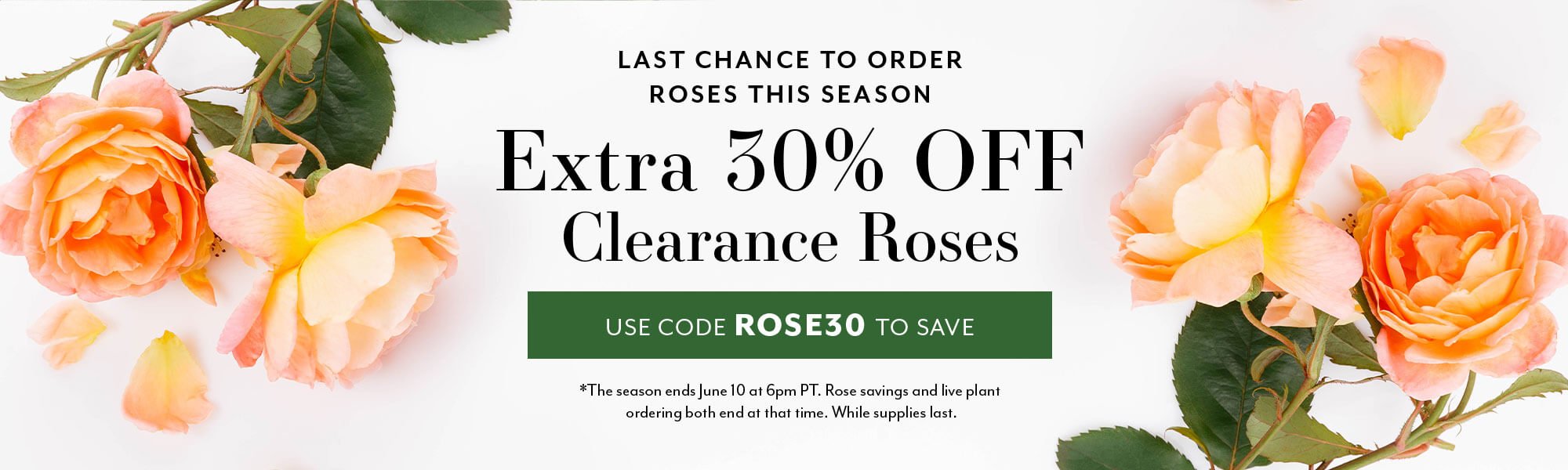 LAST CHANCE TO ORDER ROSES THIS SEASON: Extra 30% Off Clearance Roses USE CODE ROSE30