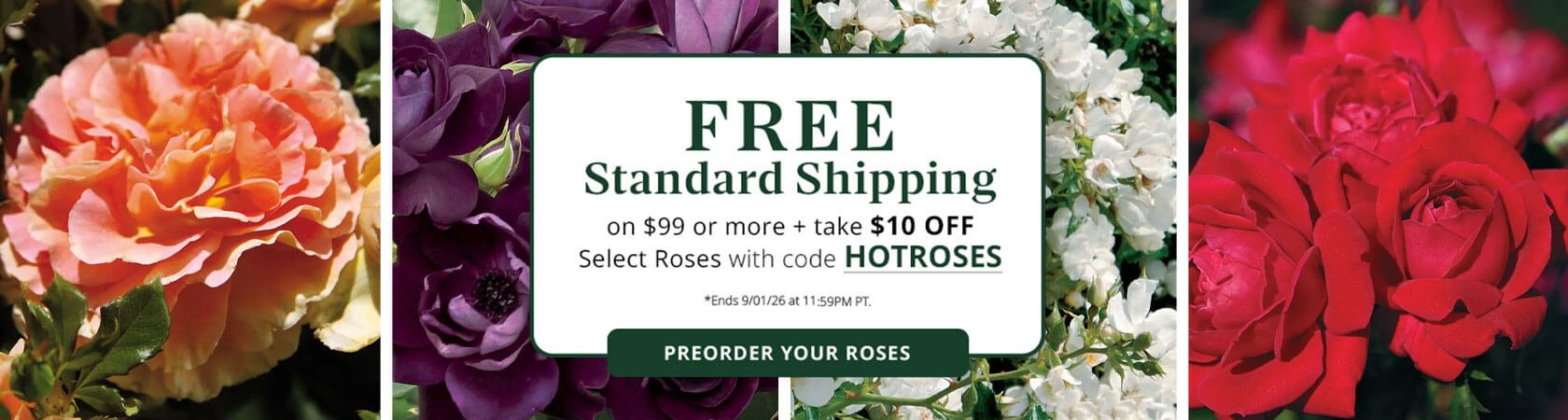 Heat Tolerant Rose Sale $10 OFF each Rose Select Specially Marked Varieties • Code HOTROSES