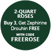 261022-FREEROSE-burst