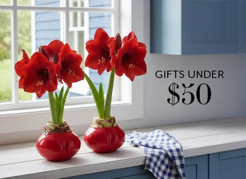 Gifts Under $50