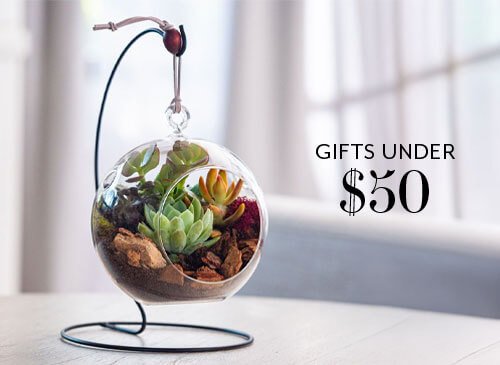 Gifts Under $50
