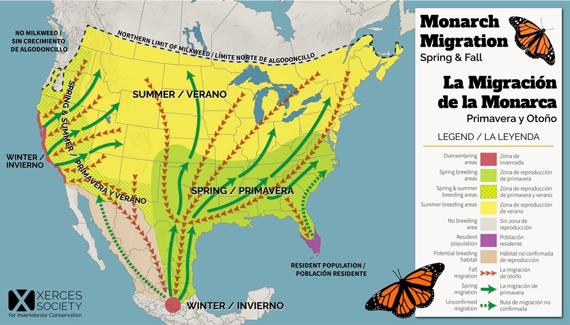 Xerces Society Monarch Migration Map