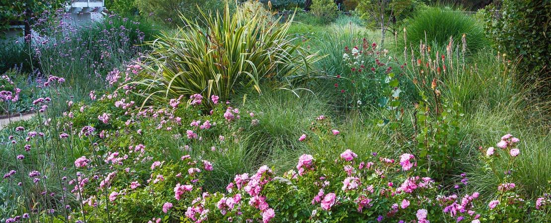 Main image for the article:A Concise History of Jackson & Perkins