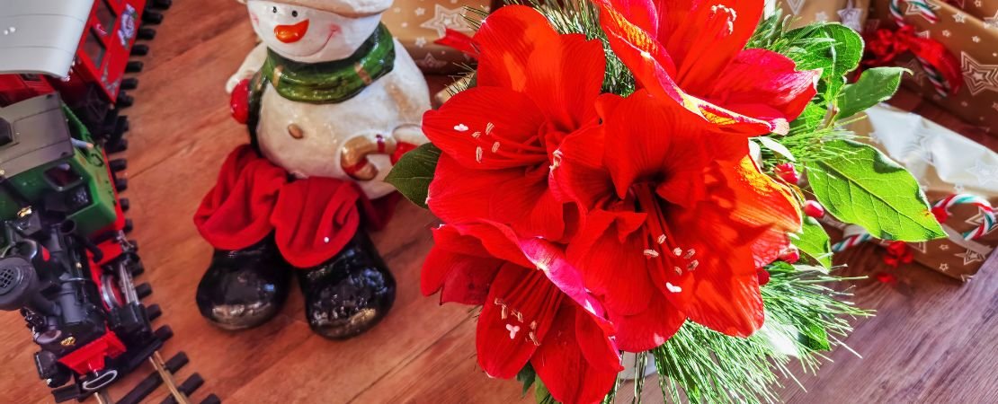 Main image for the article:The 11 Best Realtor Gifts for Clients in 2025