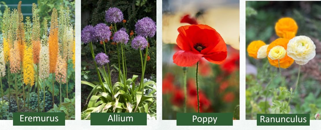 early blooming spring bulbs