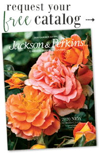 Catalog Request