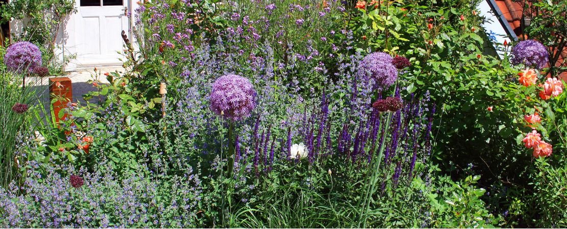 Main image for the article:What is a Chaos Garden?