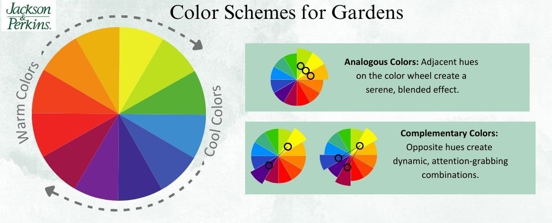 color wheel and color schemes for gardens