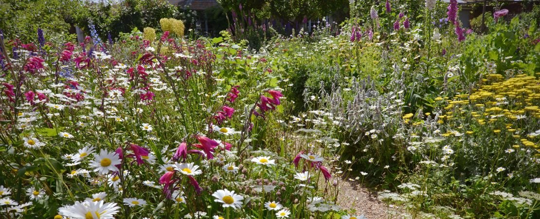 Main image for the article:How to Grow the Perfect Cottage Garden