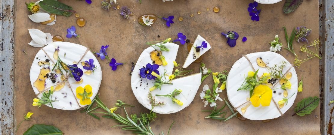 Main image for the article:16 Edible Flowers Plus Ideas for How to Use Them