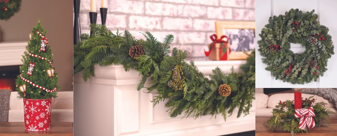 Main image for the article:Evergreen Gifts for the Holidays A Symbolic Tradition