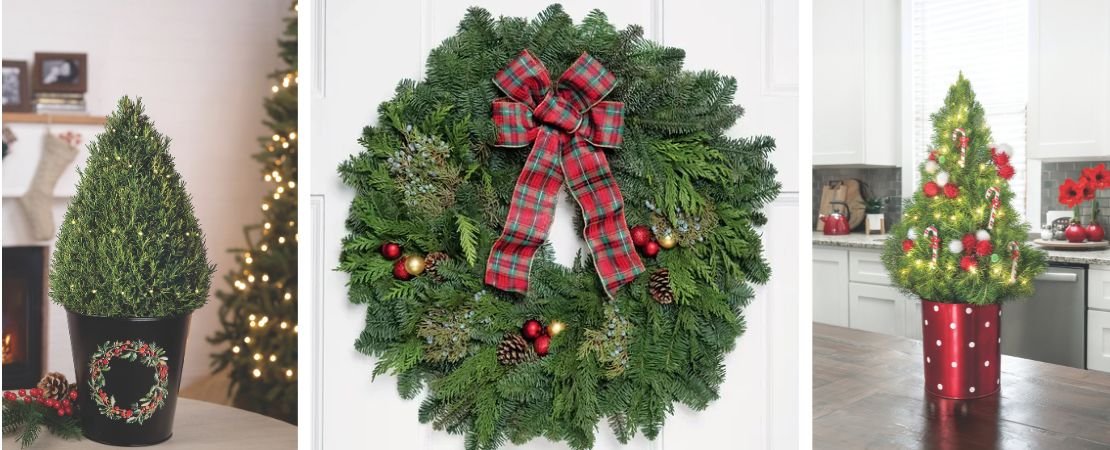 tabletop Christmas trees and evegreen gifts