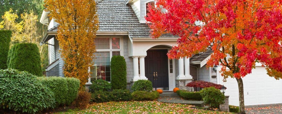 Main image for the article:Fall Foliage Favorites: Perennials, Shrubs, and Trees for a Stunning Autumn Garden