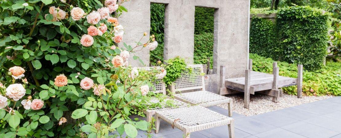 Main image for the article:Gardening Predictions for 2025