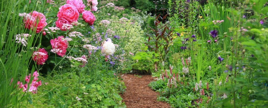 garden path through heirloom perennial garden