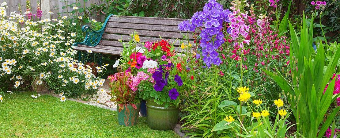 Main image for the article:How to Amend Soil for Spring Planting