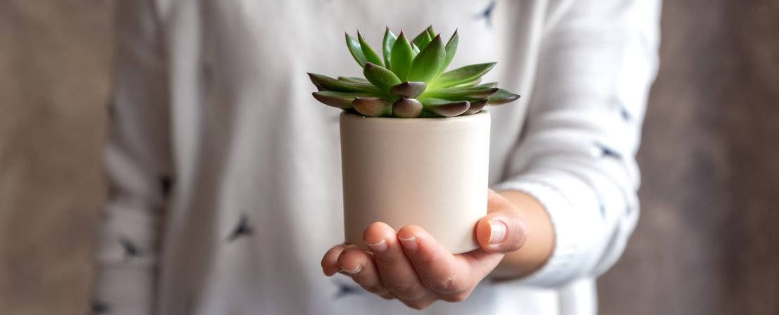 Main image for the article category: Gifting