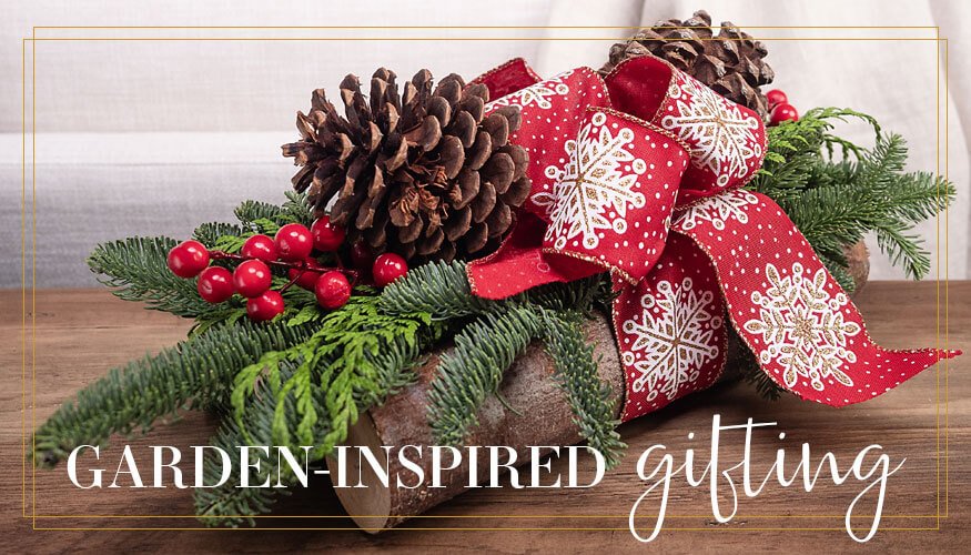 Detailed Design of Jackson & Perkins Evergreens