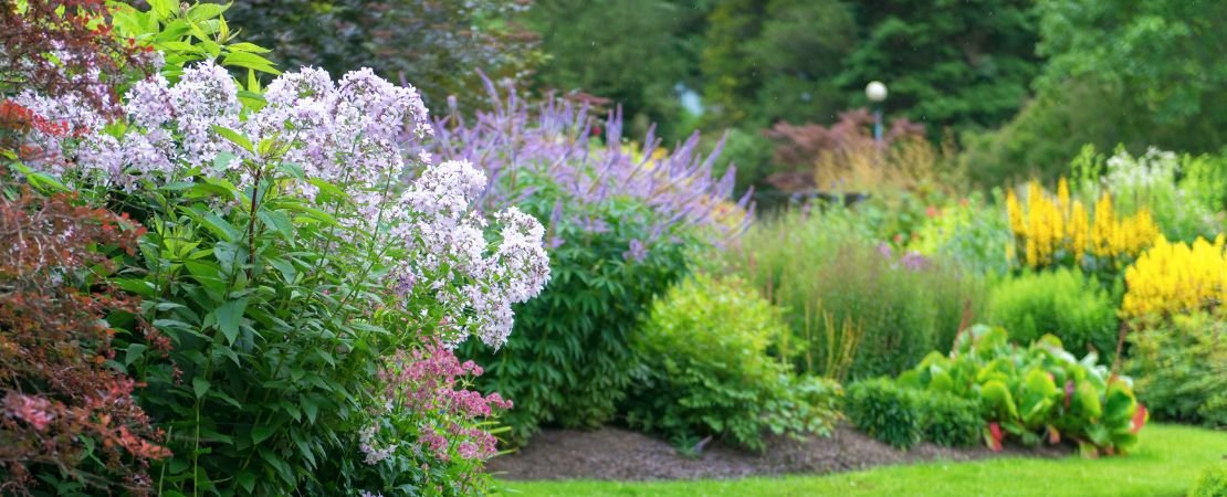 border garden with beautiful plant form contrast