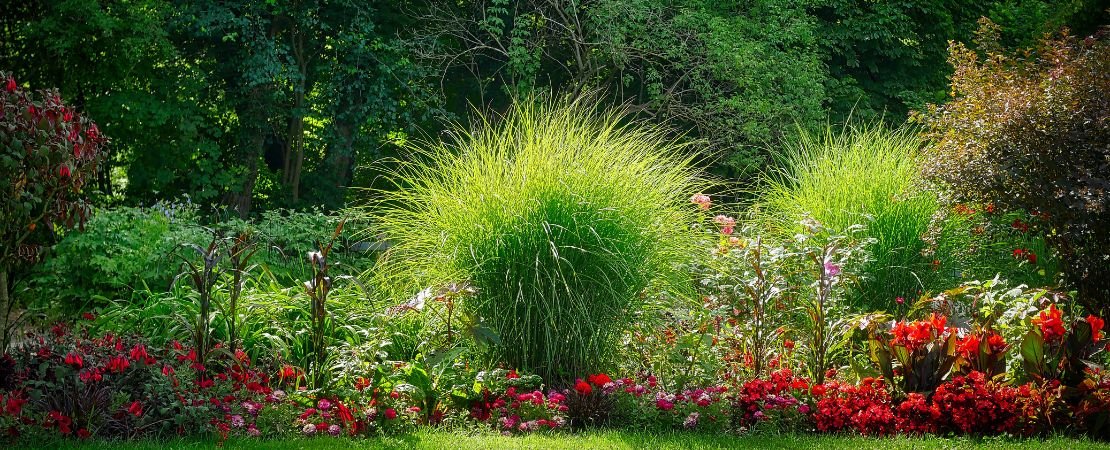 Main image for the article:How to Have Harmony and Contrast in Garden Design