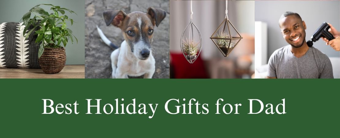 best holiday gifts for dad