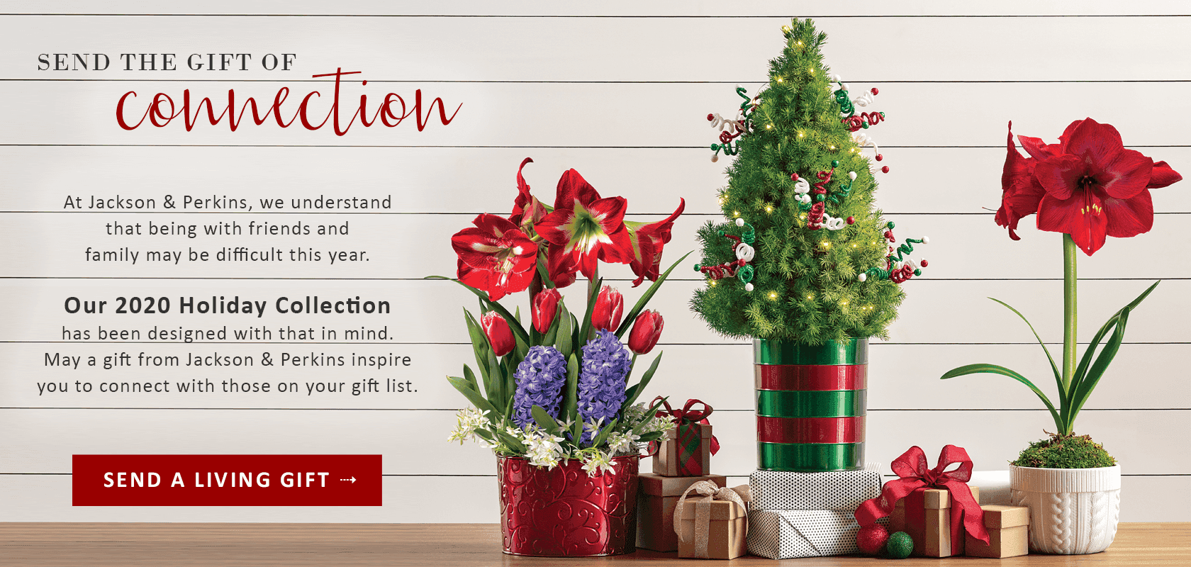 Garden and Gift Plants for Sale Online Store Jackson & Perkins