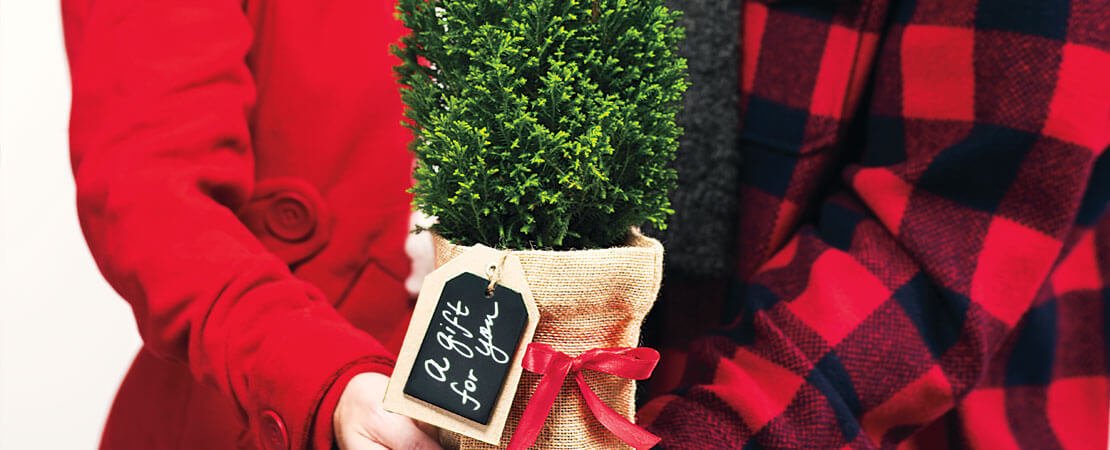 Main image for the article:7 Gifts for the Holiday Hostess