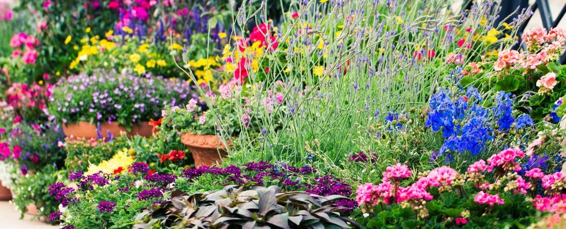 Main image for the article:Understanding Japanese Beetles to Help Protect Your Plants