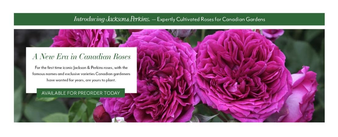 Jackson & Perkins Canada website