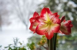Blog image for How to Give Meaningful Business Gifts: A Planning Guide
