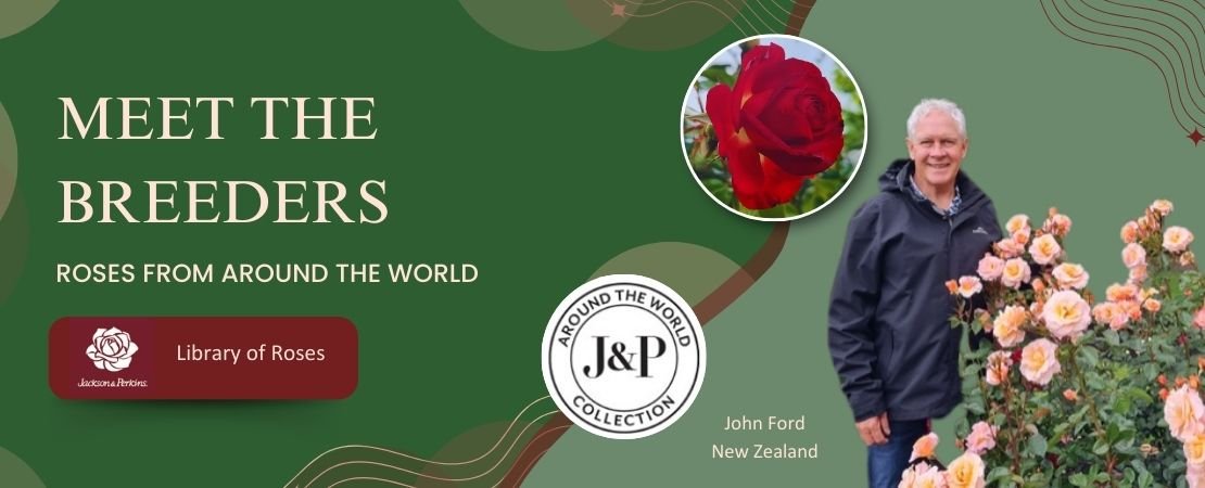Meet the Breeders: John Ford Roses Around the World | Jackson & Perkins
