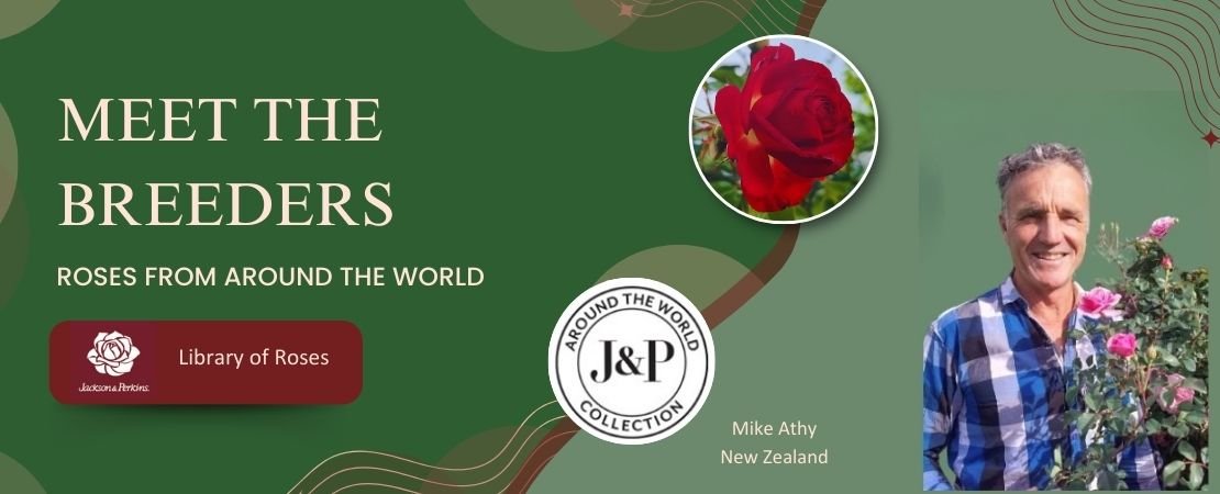 Mike Athy in garden with Oxford Girl rose